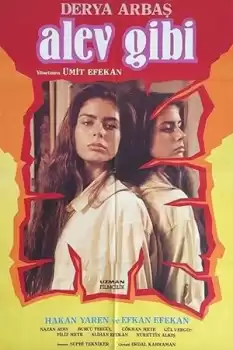 Alev Gibi