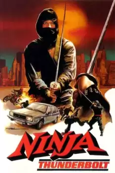 Ninja Baskını