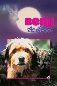 Av Köpeği Benji