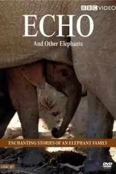 Echo of the Elephants