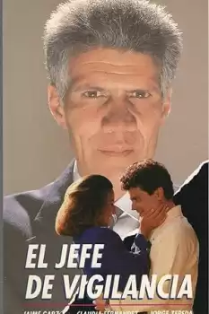 Jefe de vigilancia