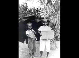 Afrique, je te plumerai
