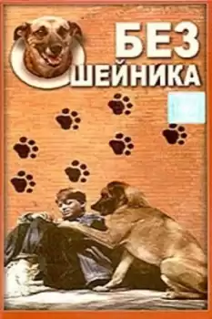 Bez osheynika