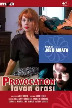 Vizio e provocazione