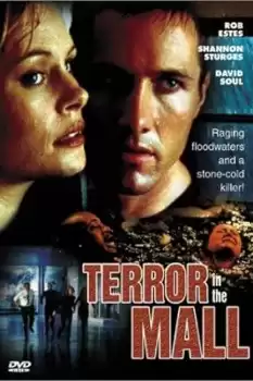 Terror in the Mall
