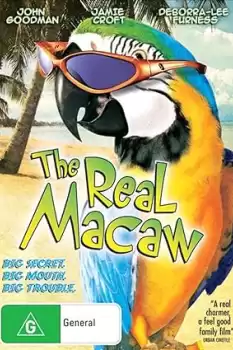 The Real Macaw