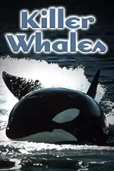 Killer Whales: Up Close and Personal