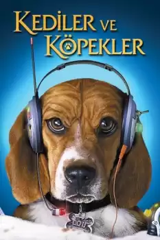 Kediler ve köpekler