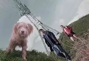 Dog