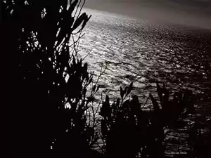 Threnody