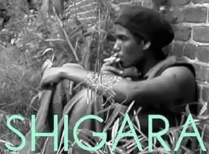 Shigara