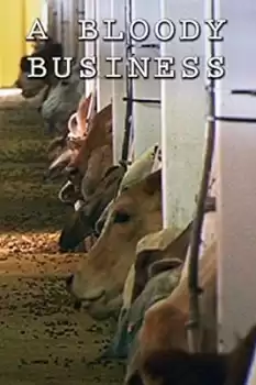 Bloody Business
