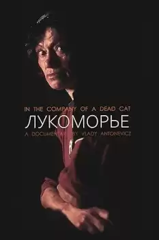 In the Company of a Dead Cat