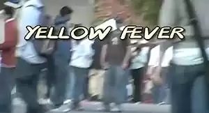 Yellow Fever