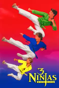 3 Kücük Ninja