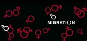 Migration