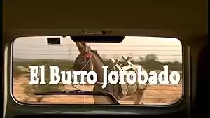 El burro jorobado