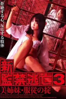 Shin kankin tôbô 3: Bishimai · fukujû no okite: Gekijô-ban