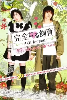 Kanzen naru shiiku: Meido, for you