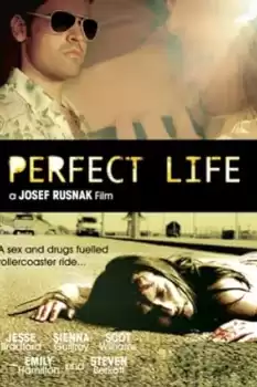 Perfect Life