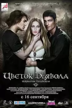 Tsvetok dyavola