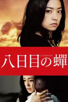 Yôkame no semi