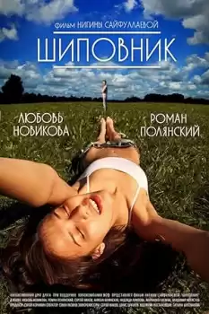 Shipovnik