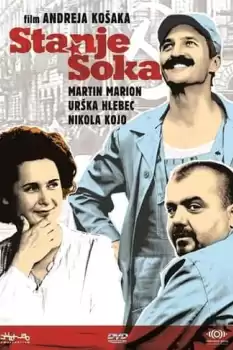 Stanje soka