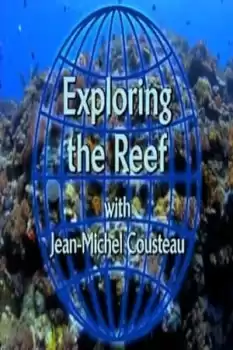 Exploring the Reef