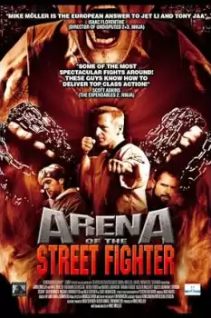 Arena of the Street Fighter