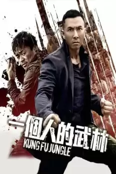 Kung Fu Cinayetleri