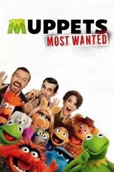 Muppets Aranıyor