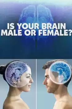 Is Your Brain Male or Female?