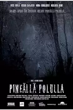 Pimeällä polulla