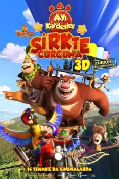 Ayı Kardeşler: Sirkte Curcuna