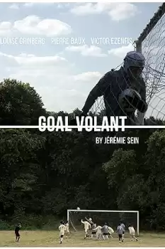 Goal volant