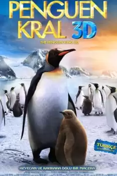 Penguen Kral