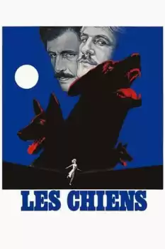 Köpekler
