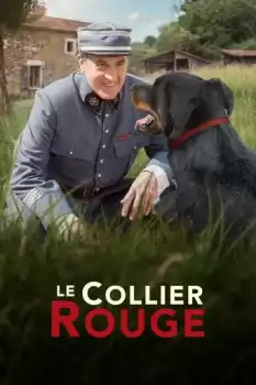 Le collier rouge