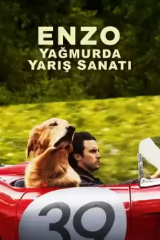 Enzo: Yagmurda Yaris Sanati