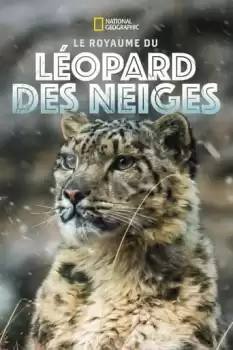 Le royaume glacé de la panthère des neiges