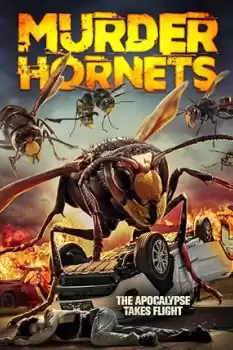 Angry Asian Murder Hornets