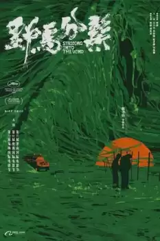 Ye ma fen zong