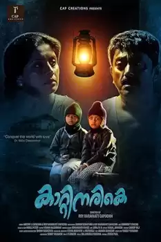 Kaatinarike
