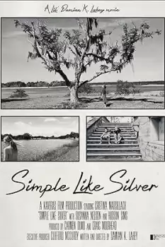 Simple Like Silver