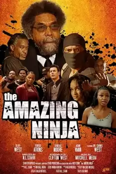 the Amazing Ninja