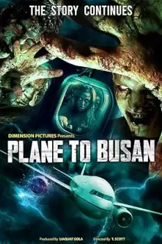 Plane to Busan