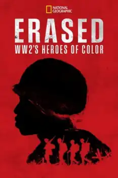 Erased WW2s Heroes of Color